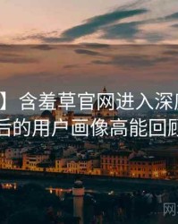 【官方】含羞草官网进入深度复盘背后的用户画像高能回顾