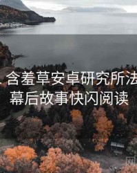 2016-11 含羞草安卓研究所法律解读：幕后故事快闪阅读