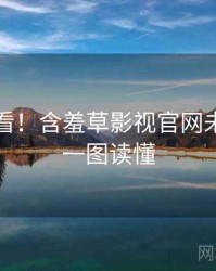 冲浪必看！含羞草影视官网未来蓝图一图读懂