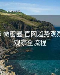 2025-05 微密圈 官网趋势观察：舆情观察全流程