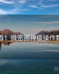 冲浪必看！微密圈神级操作数据盘点