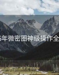 2016年微密圈神级操作全档案