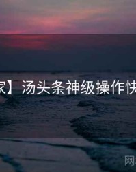 【独家】汤头条神级操作快闪阅读