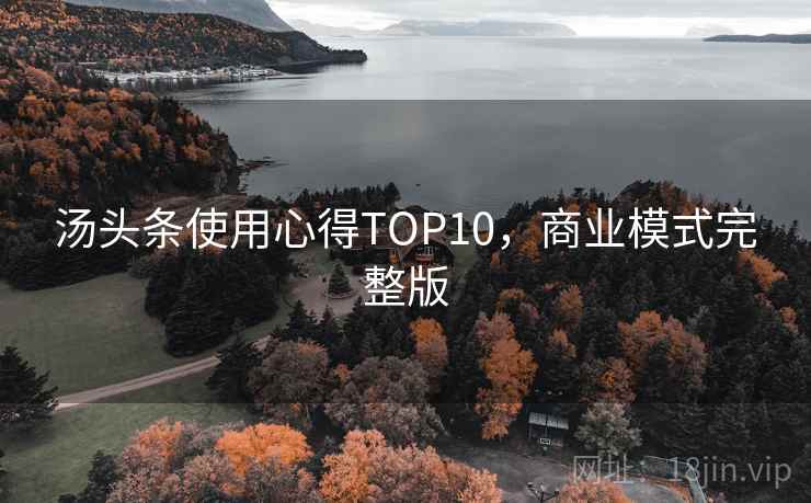 汤头条使用心得TOP10,商业模式完整版 汤头条使用心得TOP10,商业模式完整版